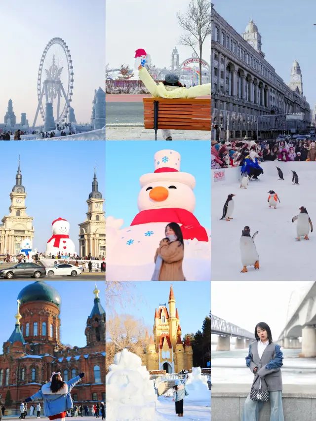 Harbin is really so much fun, you'll regret it if you don't go