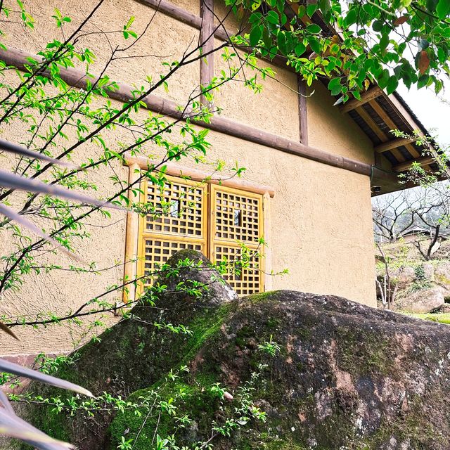 眉山溜娃一日遊