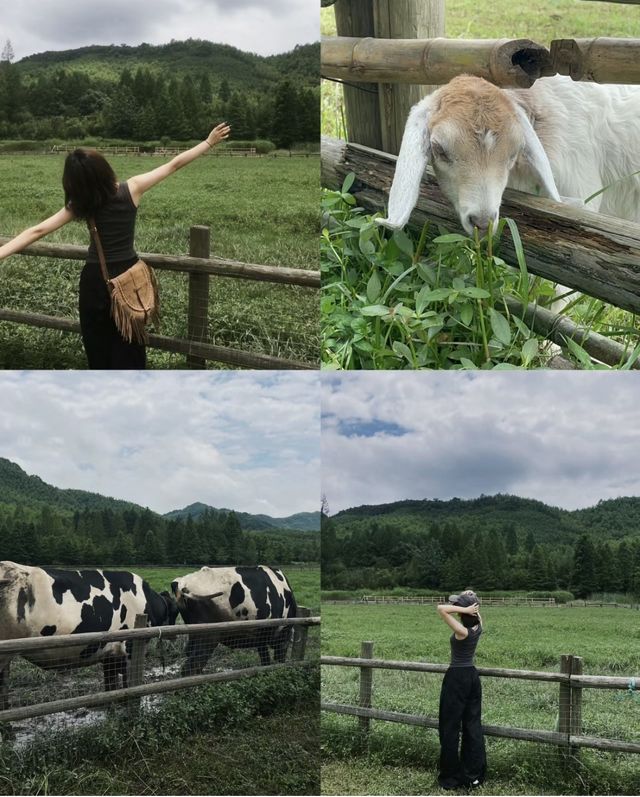 杭州周邊好去處|德清莫干山