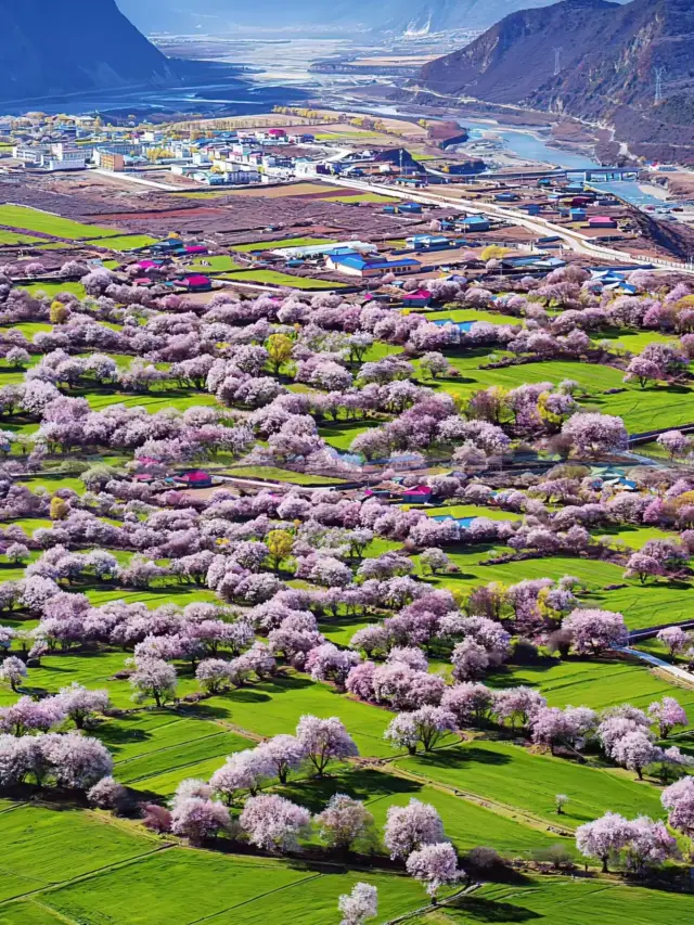 林芝：雪域高原上の桃花の仙境