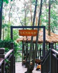 深圳小眾寺廟|"大隱於市"的寺廟又別有洞天