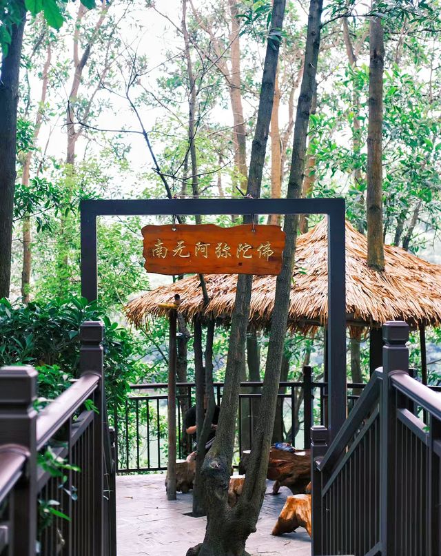 深圳小眾寺廟|"大隱於市"的寺廟又別有洞天