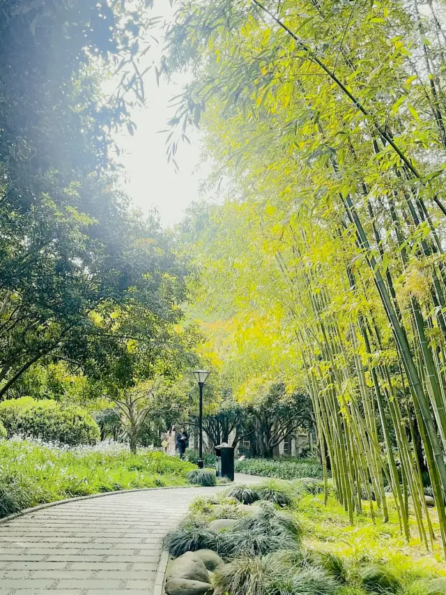 古城公园の春〜見逃した花期と予期せぬ素晴らしさ