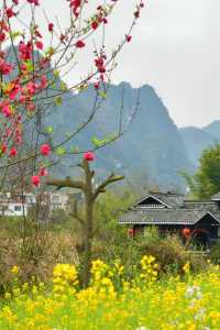 春遊賞花記｜走進桂林的“桃花源”（附攻略）