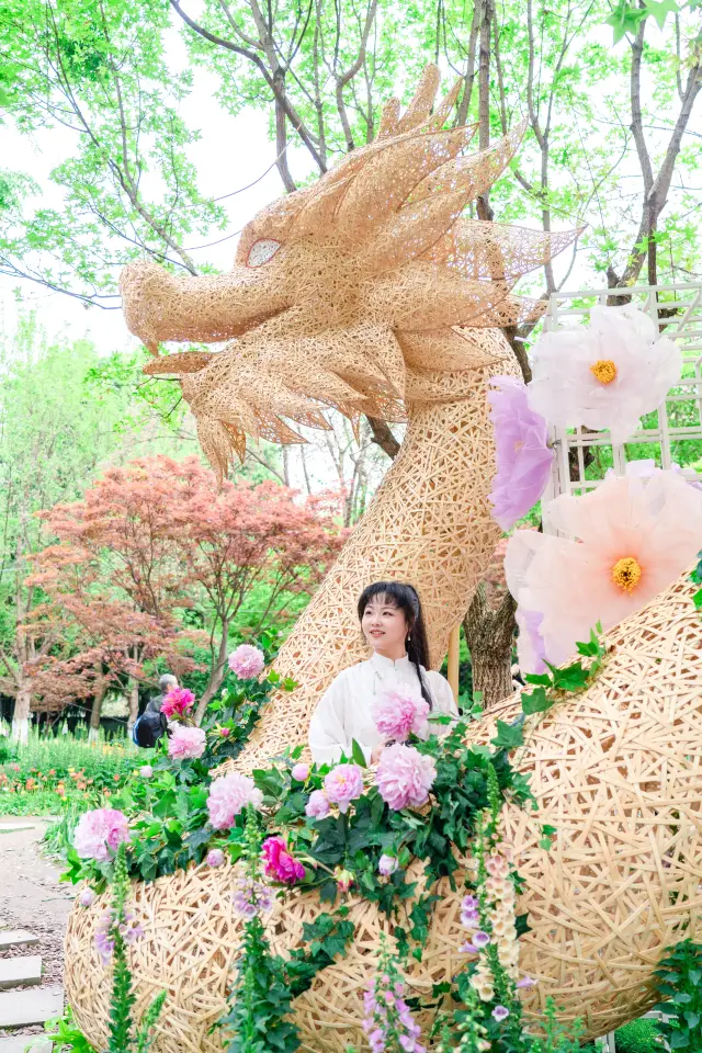 Chengdu's Baobao Park in the city area offers a Monet garden experience for free