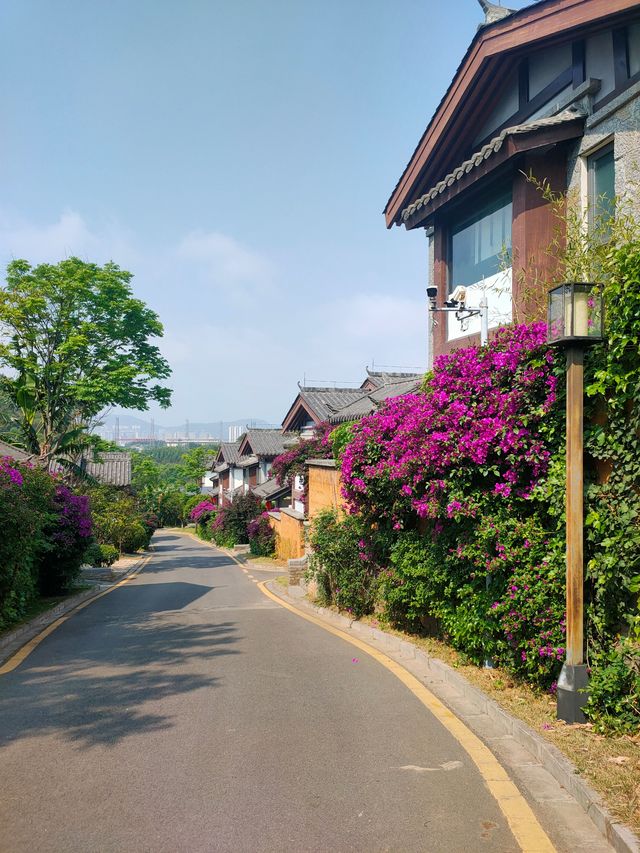 雲端藏著詩句，山野寫著生活