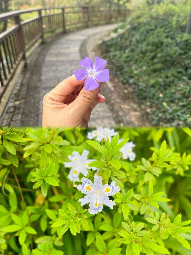 興義貴州醇景區：泛舟湖上，尋覓初春的浪漫