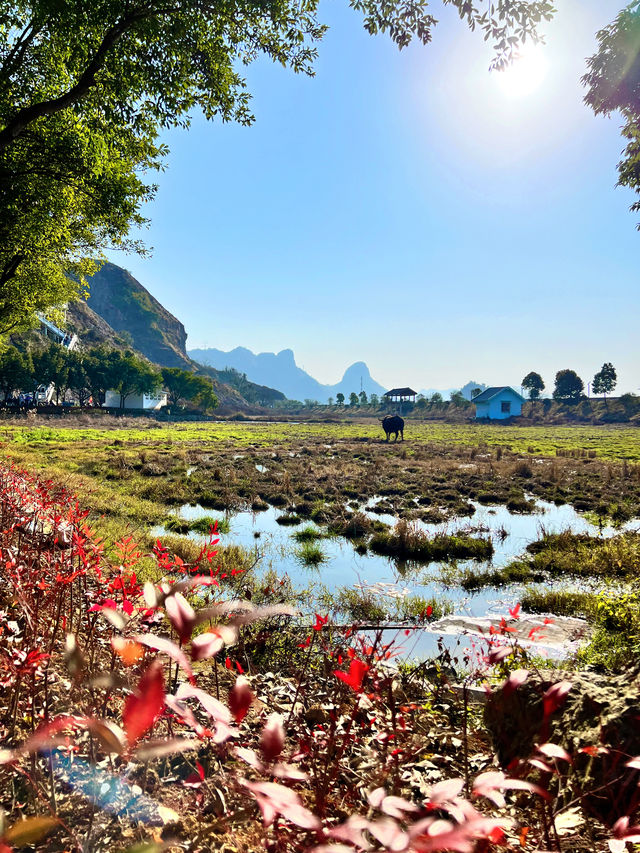 春日旅途｜温州賞春必去的私藏登山路線