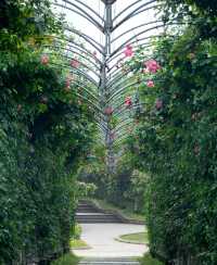 長沙·省植物園|共赴一場關於春天的浪漫花事春天有約 鮮花不誤