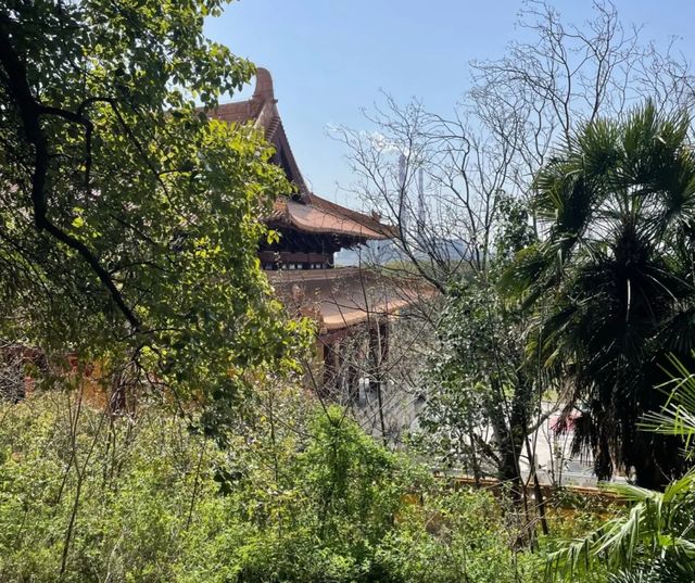 湖北荊門太子山國家森林公園‖荊門必打卡景點之一