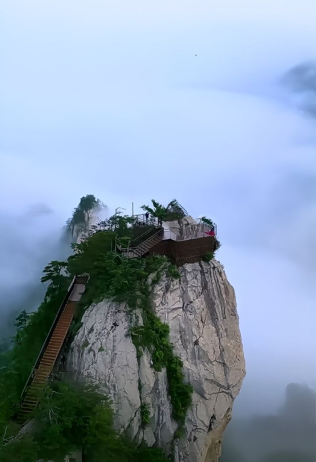 被央視多次點名的老界嶺究竟有多美！來了才知道！