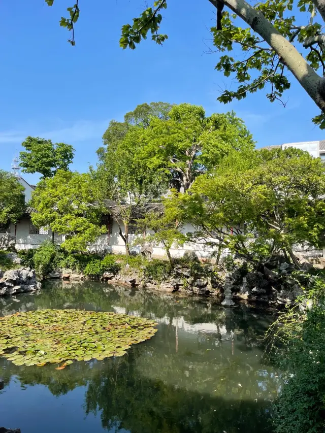 If it's your first time visiting Yi Garden, be sure to check out this guide