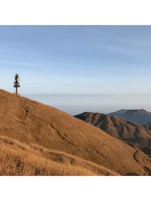 誰もが五一に江西に行かないと、私は本当に悲しむよ