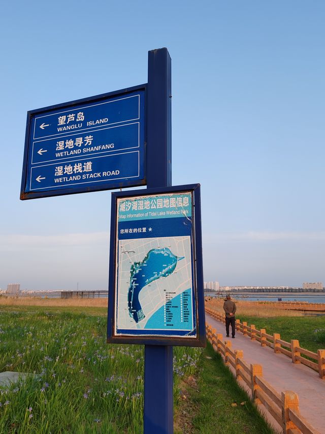 潮汐湖濕地公園