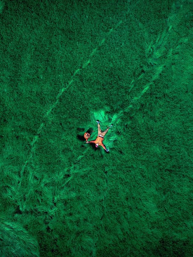 我在貴陽周邊發現了貴州小版鄱陽湖，「肆意生長」的綠草，當風吹過，這裡就成了綠色的海洋