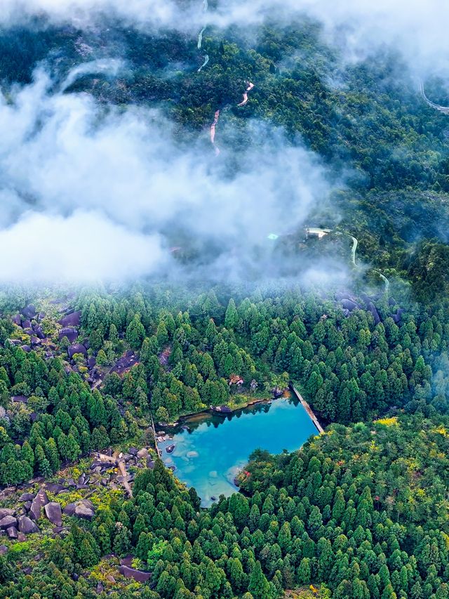 誰懂五月苍南玉苍山美到窒息，仿若仙境