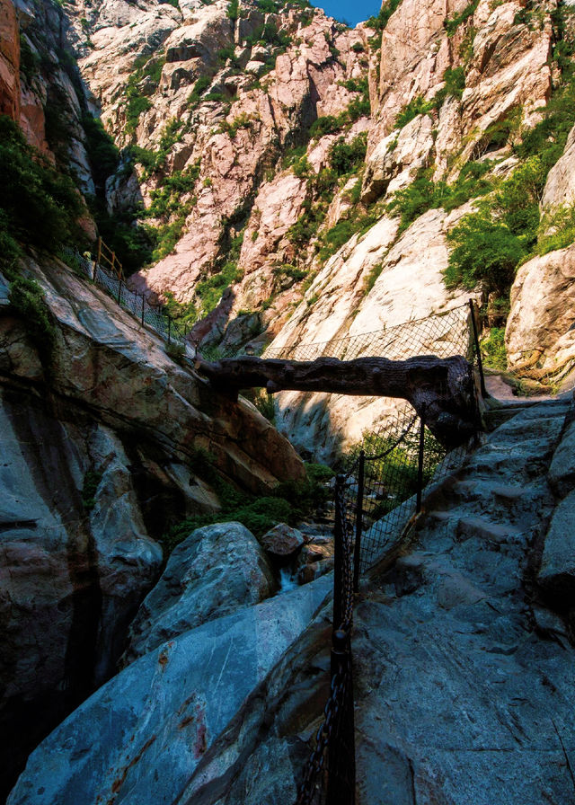 神潭大峽谷旅行攻略｜不看後悔