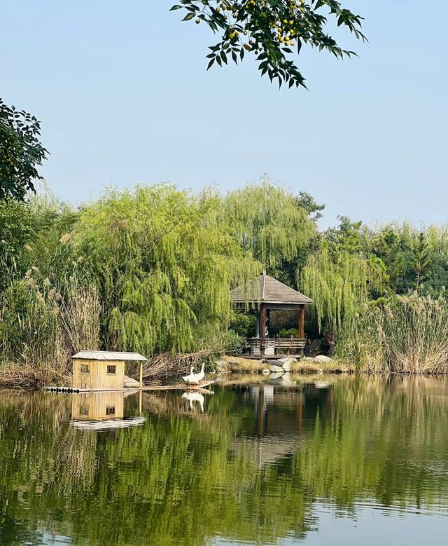 翰園碑林位於開封市龍亭湖風景區，清明上河園旁邊，融山水藝術景觀和古典園林建築藝術為一體，集古今中外詩詞、書畫、碑刻藝術之大成，一定要去!!!