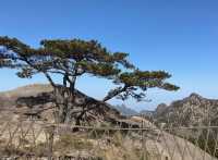 黃山的呼喚：與雲為友，與峰對話