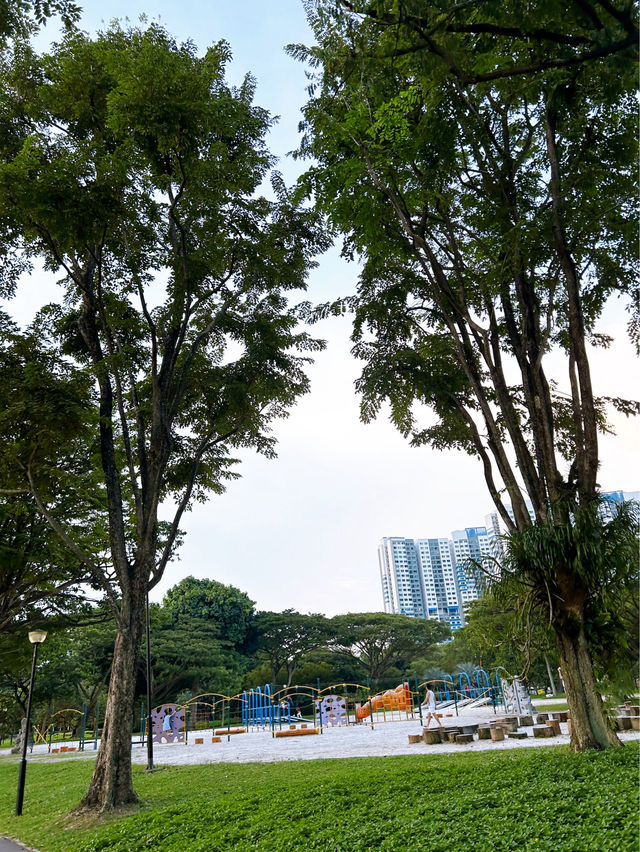 Fun Times at West Coast Park Playground
