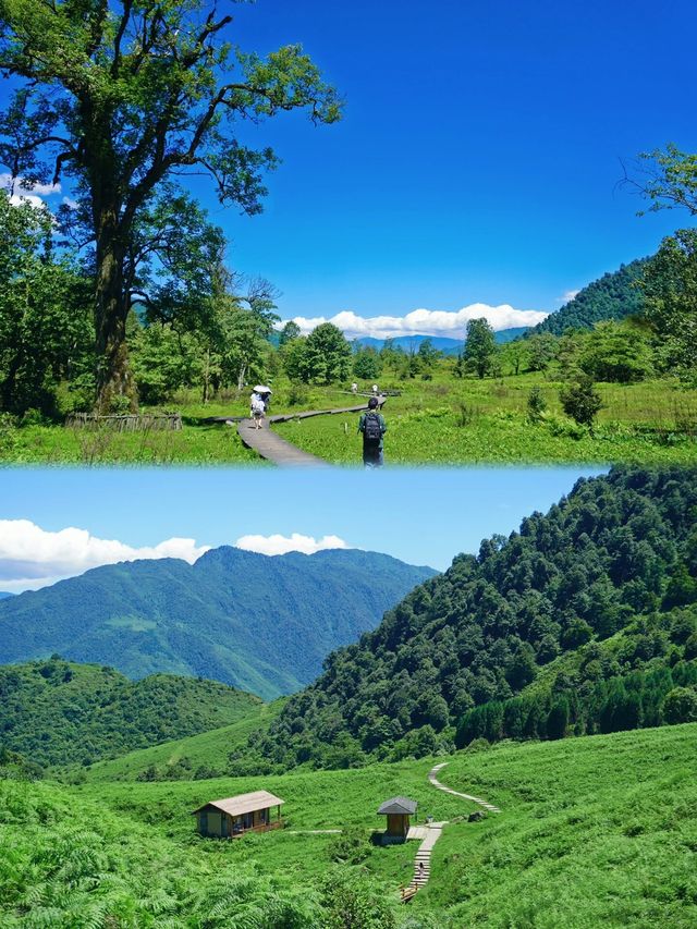 探秘黑竹溝：一日穿越自然之謎的奇幻旅程