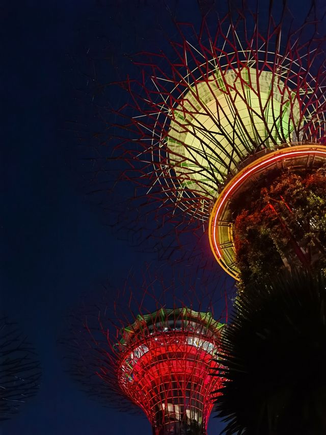 新加坡超級樹