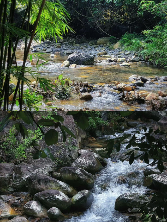 廣州周邊遊 | 肇慶紫雲谷一日遊