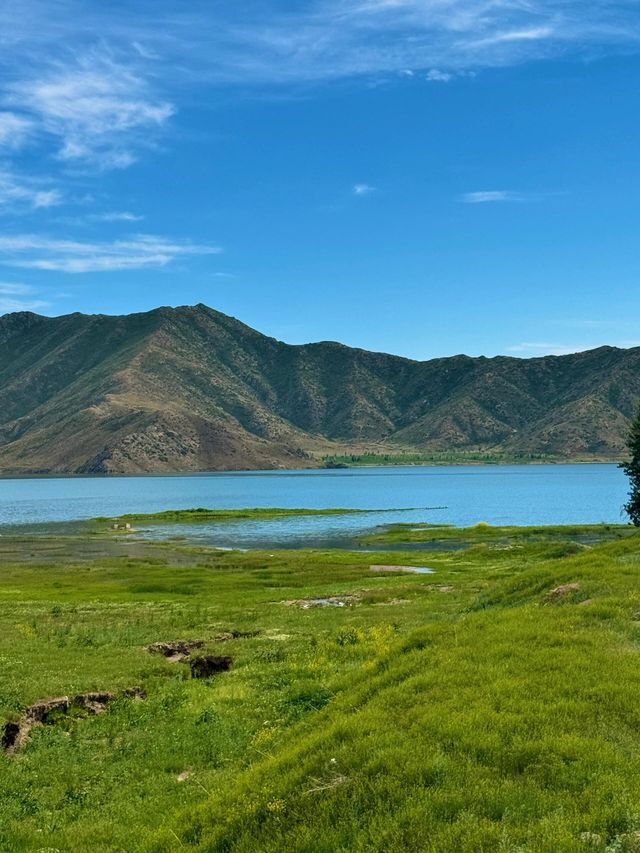 我的阿勒泰之可可托海 我的阿勒泰之可可托海