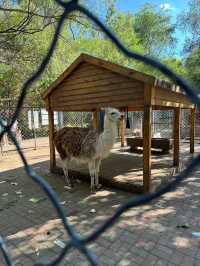 沈陽長白島森林公園，不可錯過