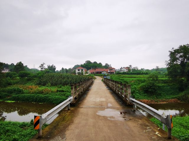 雨漫內自邊界的中溪河畔