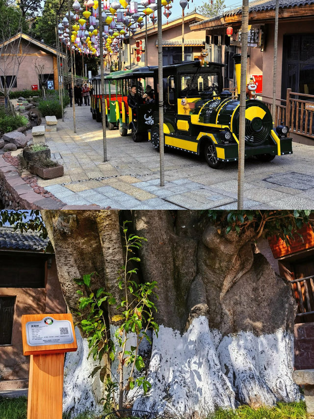 涼山州·西昌｜大石板古村靈鷹寺