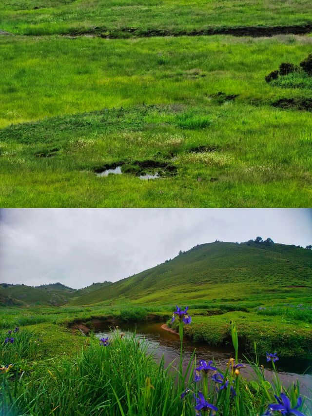 秘境怒江 羅古箐24km徒玩帶耍