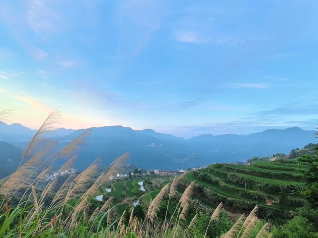 青田縣吳坑鄉尚仁村