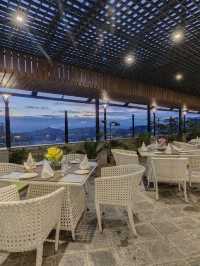 🌟 Shimla's Chic Sleeps: Boutique Bliss! 🏨✨