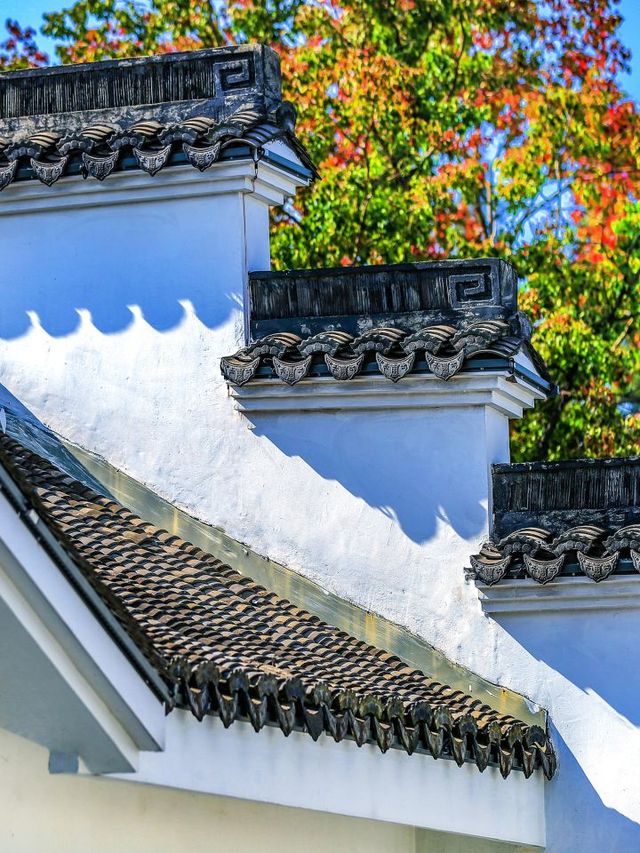 🌟 Nanxun Paradise: Hotel Heaven in Huzhou 🏨✨