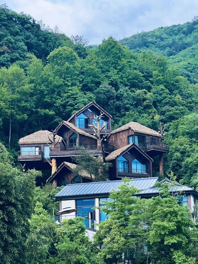 江浙沪暑期溜娃｜去诸暨芳草地度假酒店吧