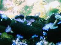 NY Aquarium Wild Life Cincervation Area: Cute and Fashion