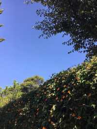 🌟 Bogota's Boutique Bliss: Casa Legado Highlights 🌟