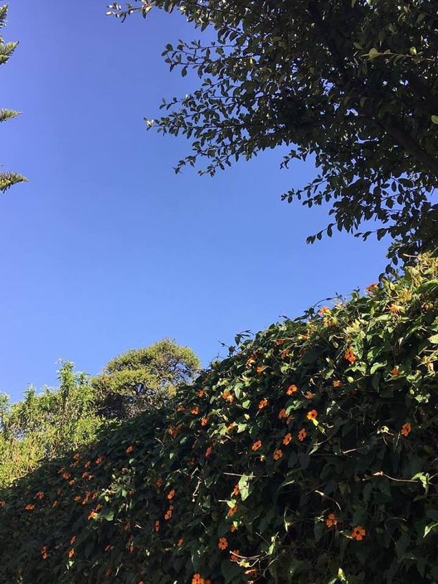 🌟 Bogota's Boutique Bliss: Casa Legado Highlights 🌟