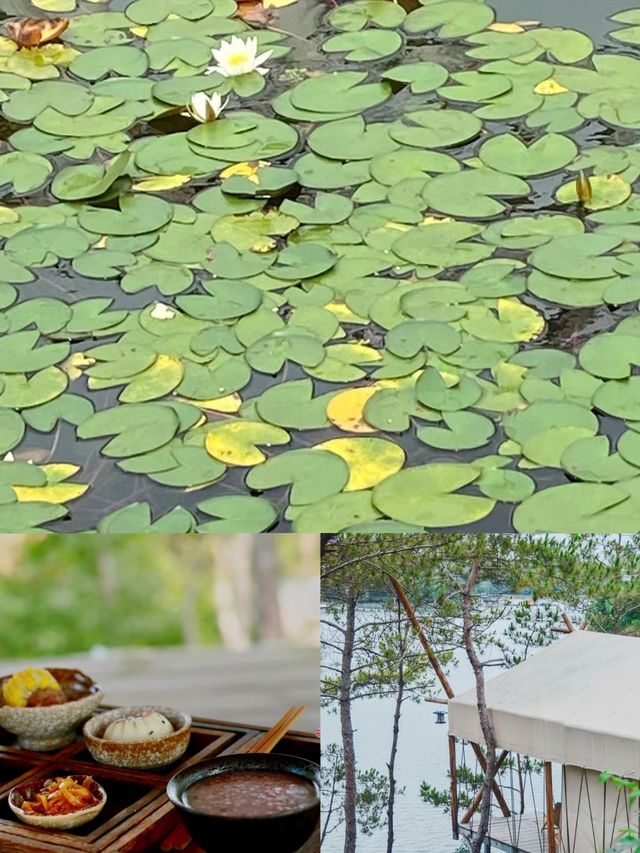 武漢周邊遛娃好去處湖北親野帳篷測評
