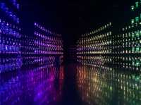 Museum of the Future 