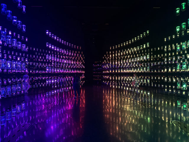 Museum of the Future 
