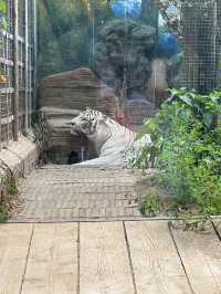 濟南動物園攻略