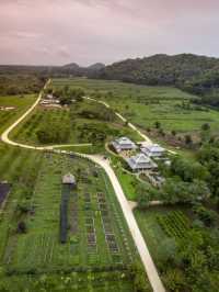 🌴 Belize Bliss: Unwind at Copal Tree Lodge 🏝️
