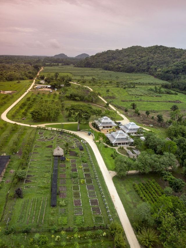 🌴 Belize Bliss: Unwind at Copal Tree Lodge 🏝️