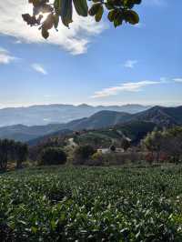 湖州陸羽古道