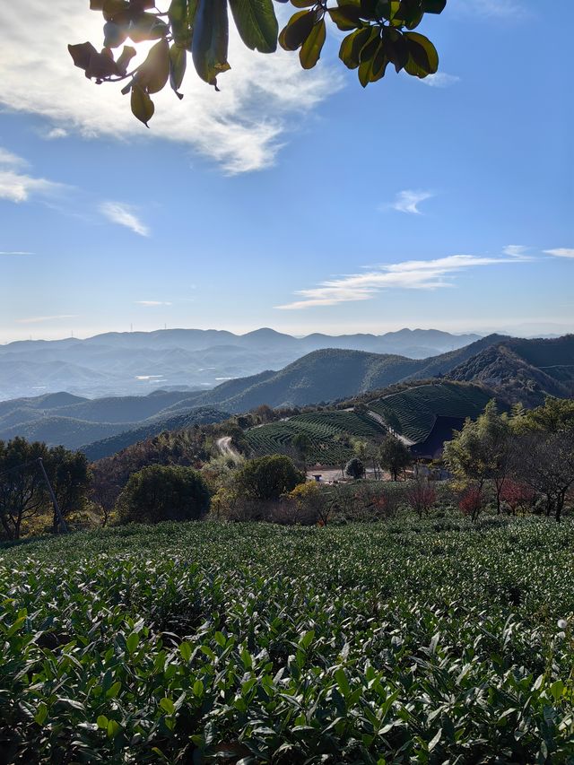 湖州陸羽古道