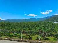 拉市海茶馬古道