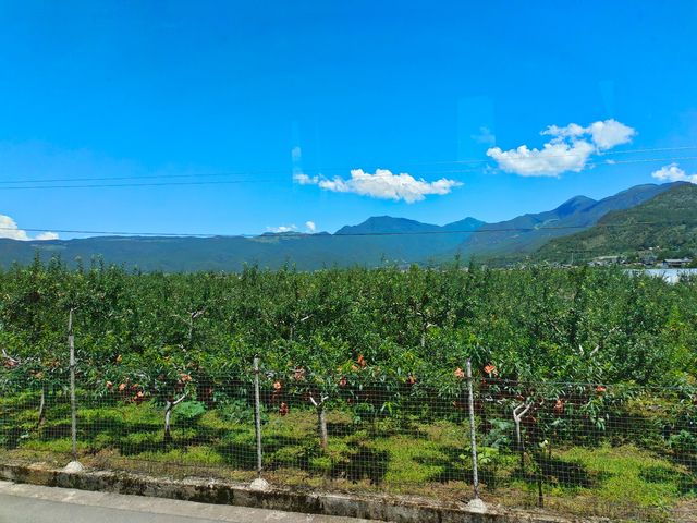 拉市海茶馬古道