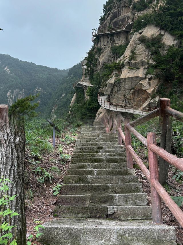 鄭州2小時直達的避暑天堂，你去過了嗎？